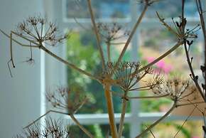 Villa Blue Horizon by Amy Villas