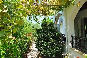 Villa Butterfly by Amy Villas