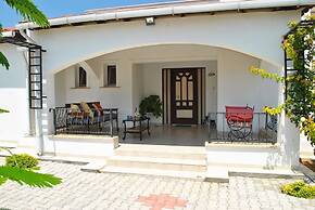 Villa Butterfly by Amy Villas