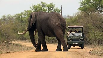 Kruger Park Tours