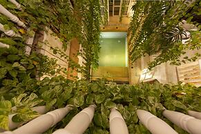 Leones de Alba Hotel Boutique