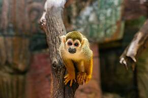 Amazonia - The Jungle Experience Resort