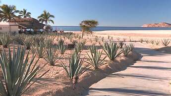 Casa del Mar Gaviota 301