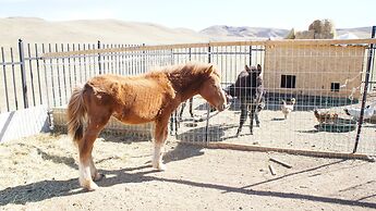 Mandala Bliss Mongolia