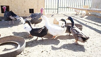 Mandala Bliss Mongolia