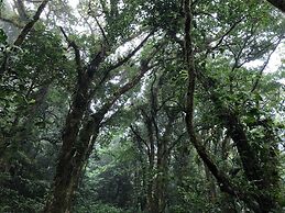 Burbi Lake Lodge Monteverde