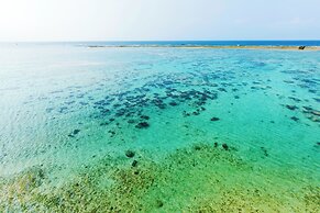 BLUE STEAK WONDER SENAHA