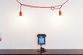 BLUE STEAK WONDER SENAHA