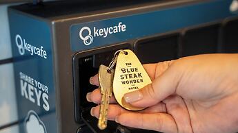 BLUE STEAK WONDER SENAHA