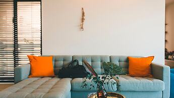 BLUE STEAK WONDER SENAHA