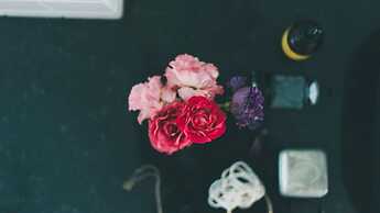 BLUE STEAK WONDER SENAHA