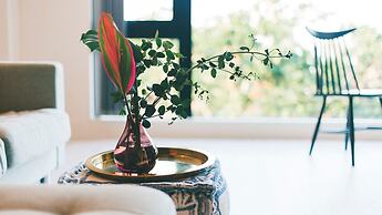 BLUE STEAK WONDER SENAHA