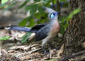Anjajavy le Lodge - Relais & Châteaux