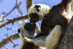 Anjajavy le Lodge - Relais & Châteaux
