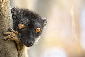 Anjajavy le Lodge - Relais & Châteaux