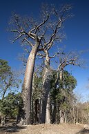 Anjajavy le Lodge - Relais & Châteaux