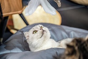 HeSu DESIGNER Hotel & Suites - Xi'an Drum Tower & YONGNING Gate Branch