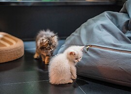 HeSu DESIGNER Hotel & Suites - Xi'an Drum Tower & YONGNING Gate Branch