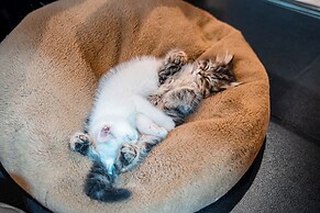 HeSu DESIGNER Hotel & Suites - Xi'an Drum Tower & YONGNING Gate Branch