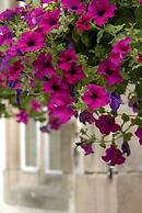 Losehill House Hotel & Spa