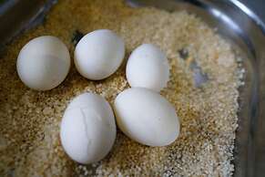 Horton Towers & Cottages