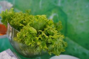 Horton Towers & Cottages