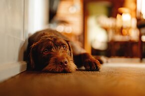 Wheatacre White Lion