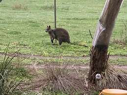 Phillip Island Nature Resort