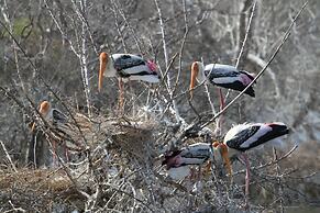 Yala Wilderness Safari Camp