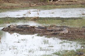 Yala Wilderness Safari Camp