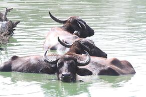 Yala Wilderness Safari Camp