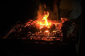 Yala Wilderness Safari Camp