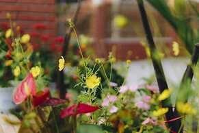 Phong Nha Love Homestay