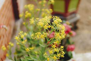 Phong Nha Love Homestay