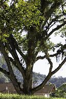 Hotel Fazenda Pommernland