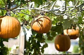 Mittendorf Klimaresidence