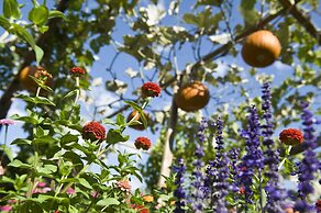 Mittendorf Klimaresidence