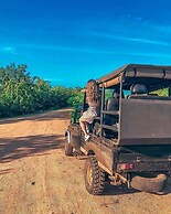 Residence Kuruniyavilla