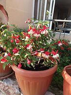 Apartmani Mitrovic Podlicak