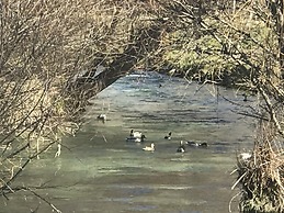 Villa Stella Dalmatica with heated pool