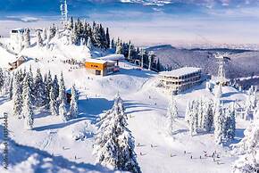 Complex Turistic Max International