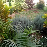 Mangalita Lodge