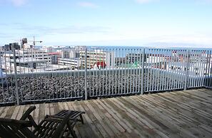 Nest Apartment Sparrow