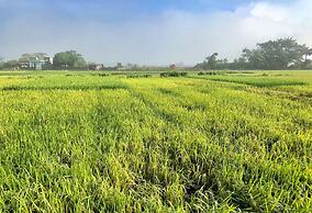 May Homestay Ninh Binh