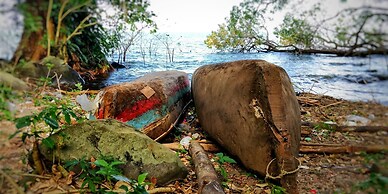 Finca del Sol Eco Lodge