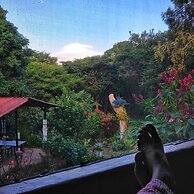 Finca del Sol Eco Lodge