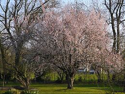 Aux Chambres des Bujours