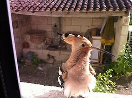 Aux Chambres des Bujours