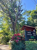 Cabañas La Montaña