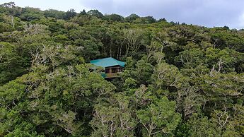 Cabañas La Montaña